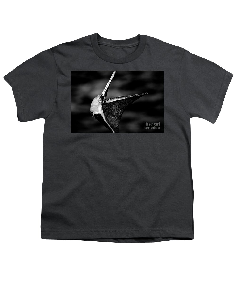 Pelicans Youth T-Shirt featuring the photograph The Dreamcatcher by John F Tsumas