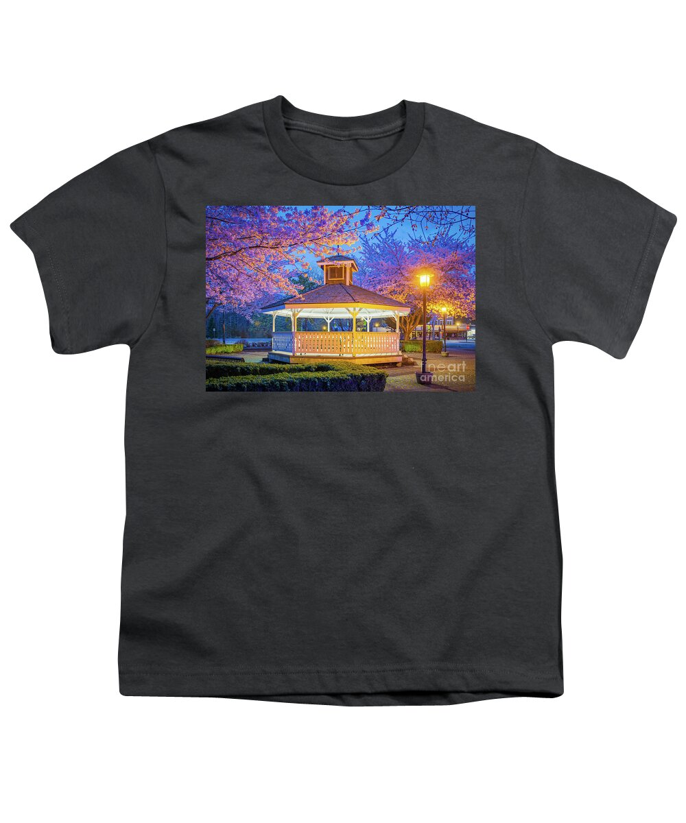 America Youth T-Shirt featuring the photograph Cherry Blossom Gazebo by Inge Johnsson