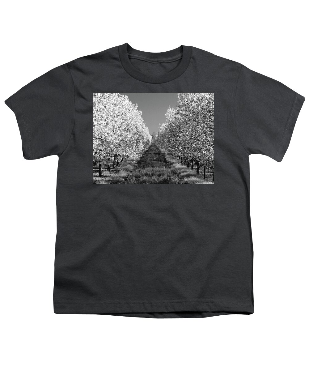 Cherry Orchard Youth T-Shirt featuring the photograph Cherry Blossom Perspective B W by David T Wilkinson