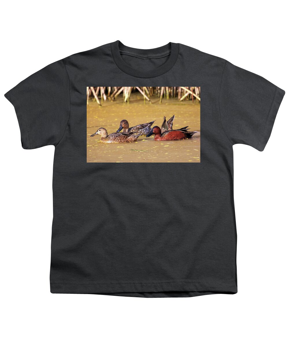 Ducks Youth T-Shirt featuring the photograph Cinnamon Teal and Friends by Robert Harris