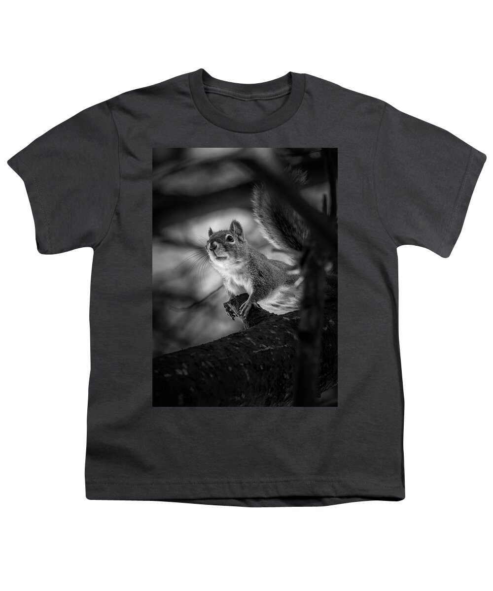 Animal Youth T-Shirt featuring the photograph Climbing The Pine by Bob Orsillo