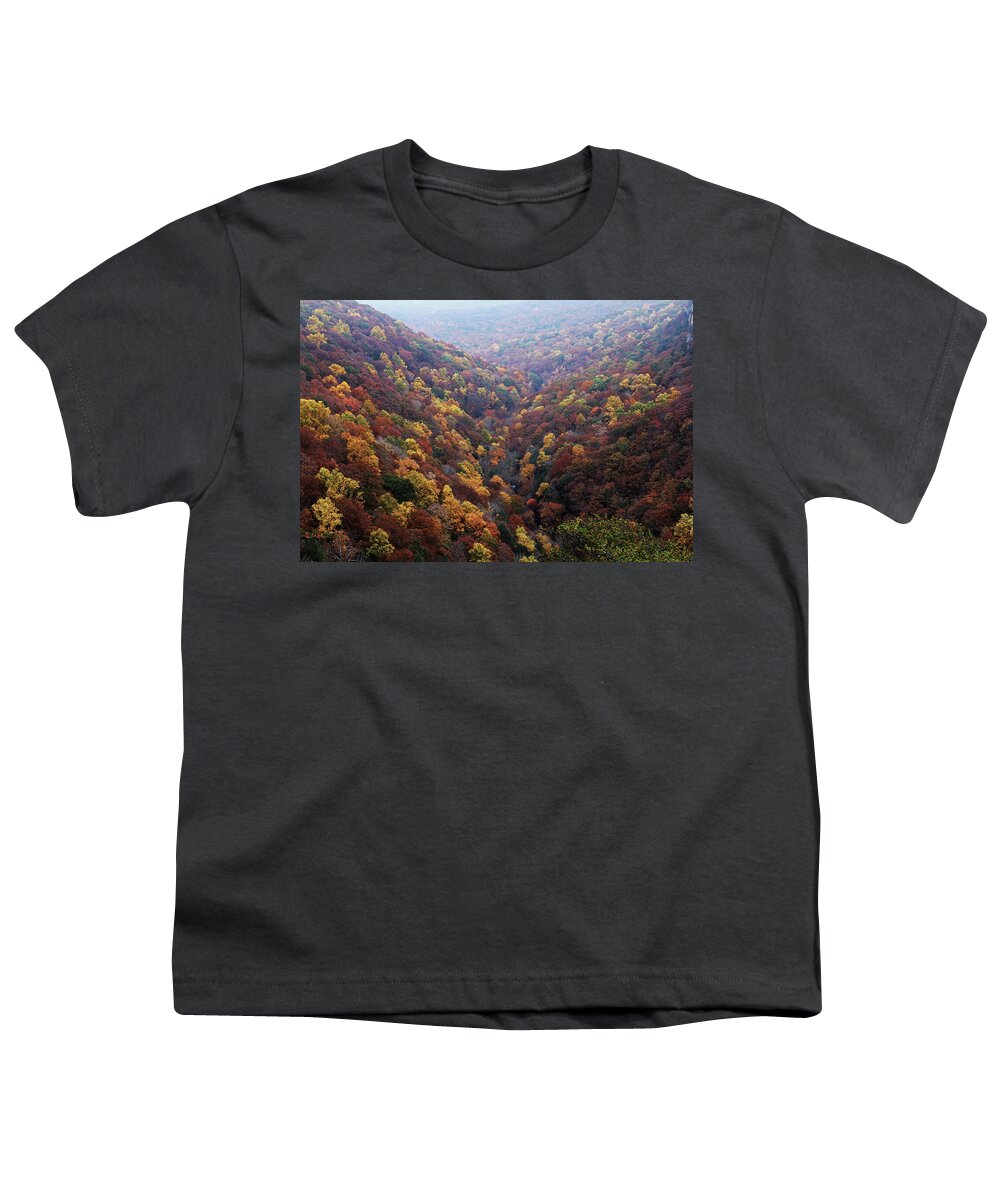 Cloudland Canyon Youth T-Shirt featuring the photograph Cloudland Canyon, Ga. by Richard Krebs