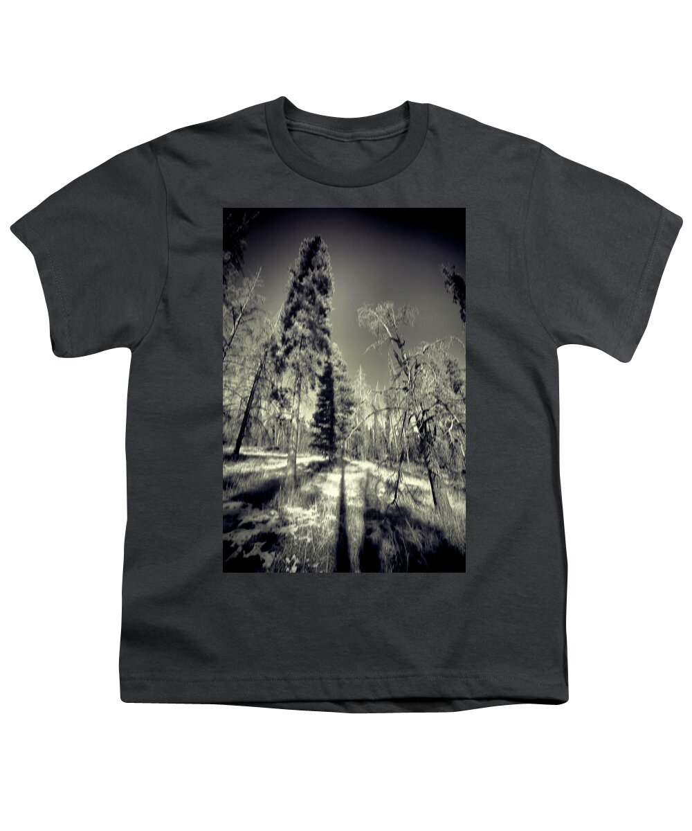 Colorado Trees Youth T-Shirt featuring the photograph Colorado Trees Pinhole BW by Cathy Anderson