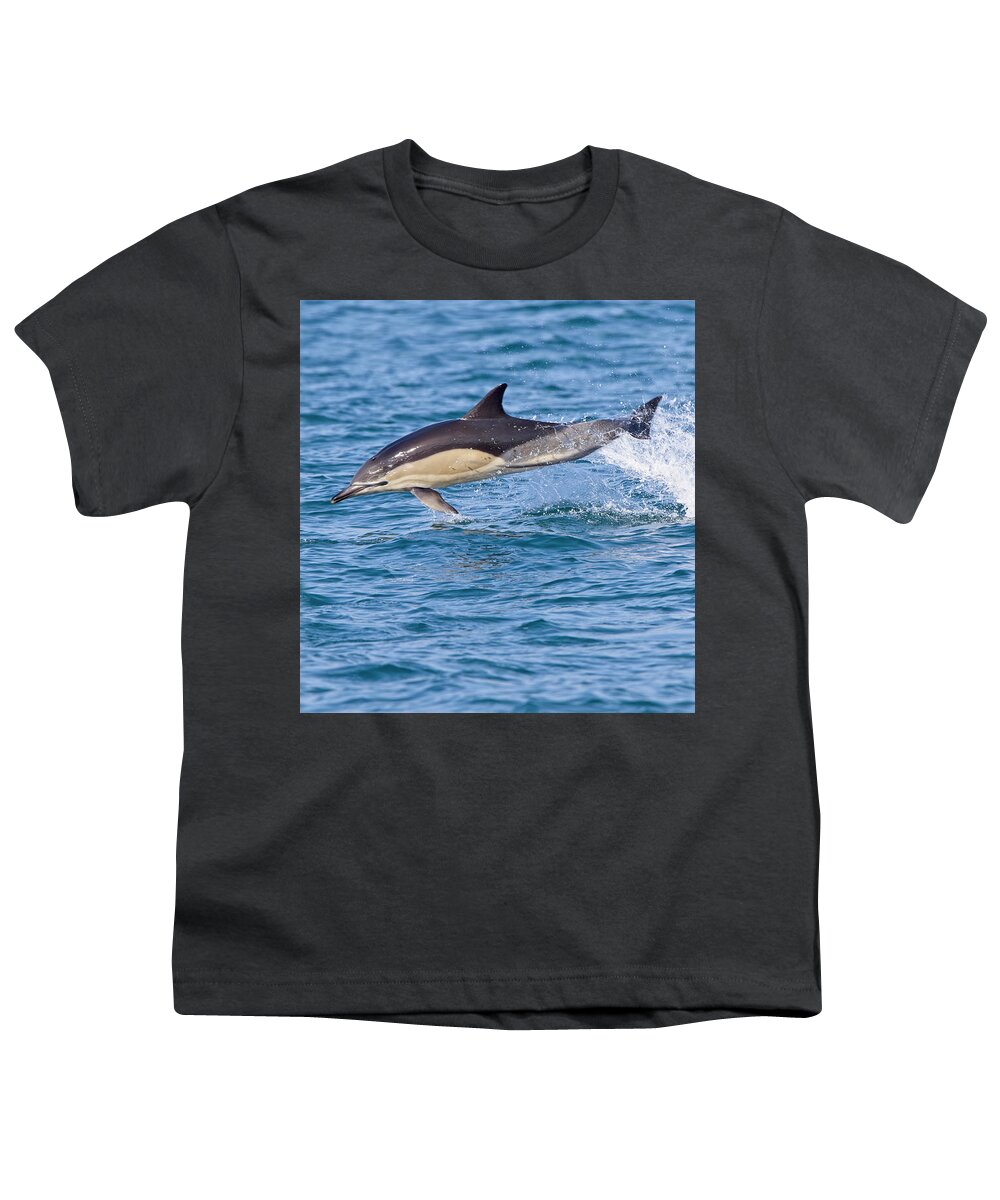 Dolphin Youth T-Shirt featuring the photograph Common Dolphin leaping, Cornwall. by Tony Mills