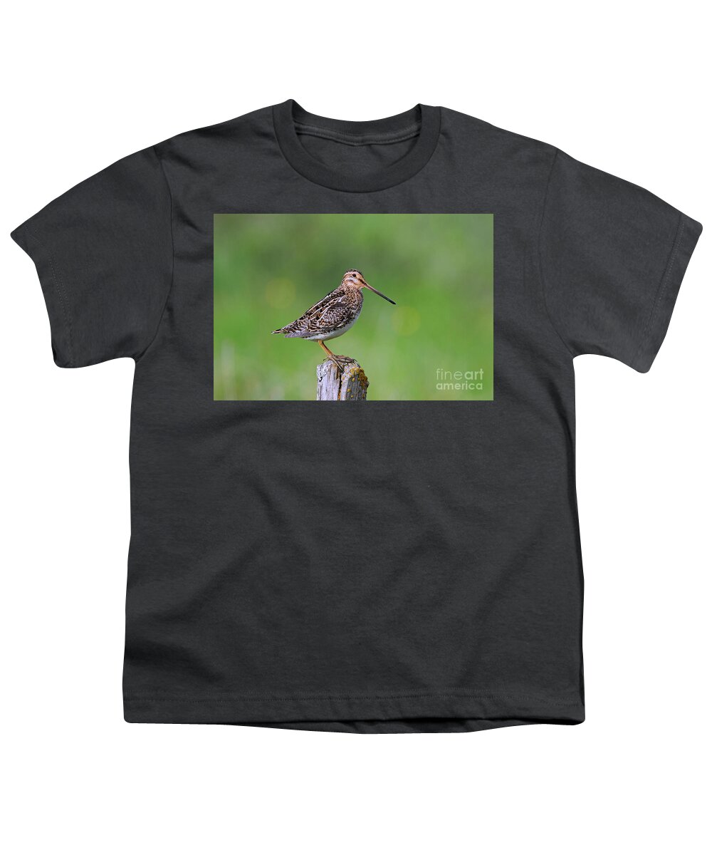 Common Snipe Youth T-Shirt featuring the photograph Common Snipe by Arterra Picture Library