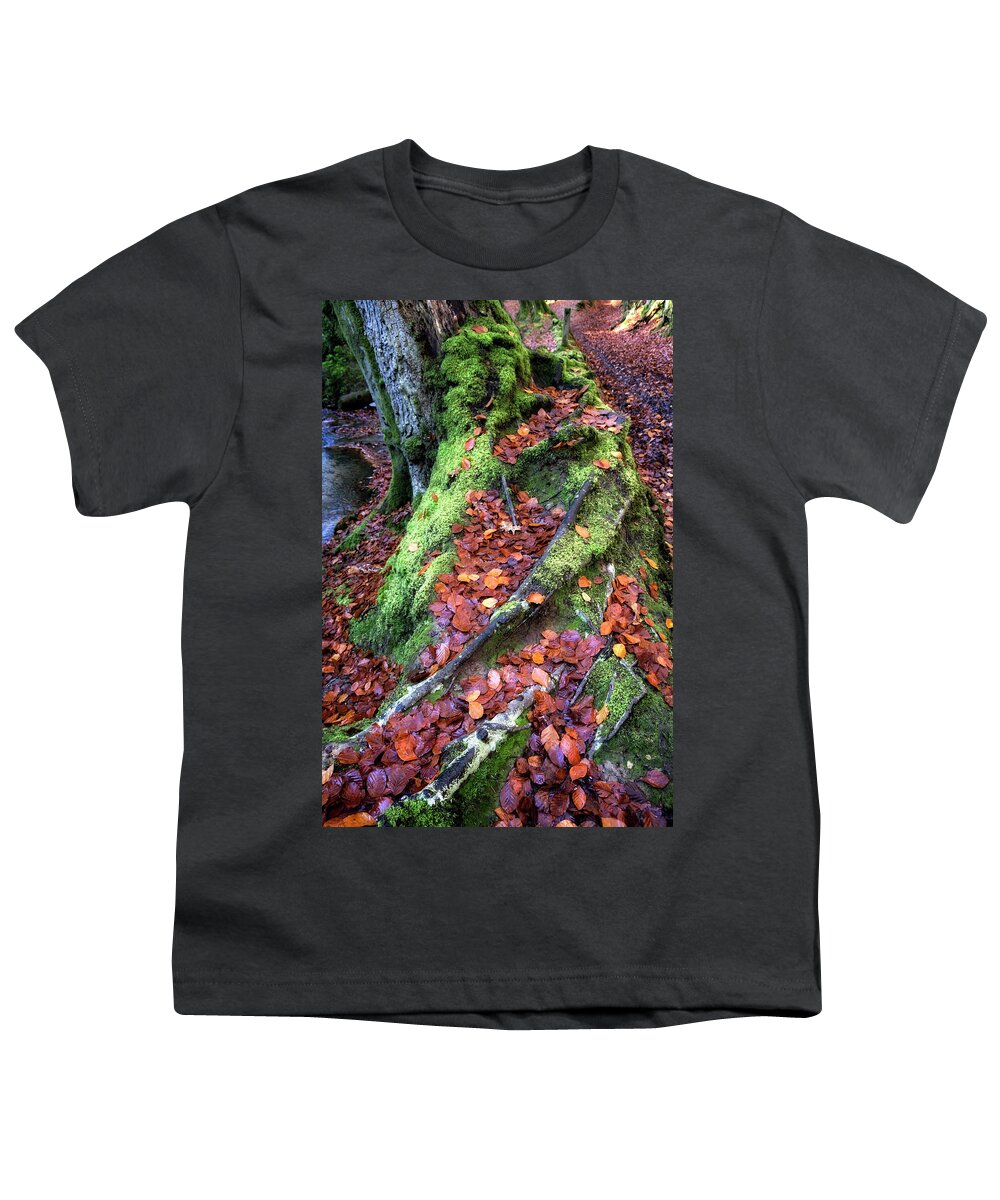 Nature Youth T-Shirt featuring the photograph Copper Beech at Autumn by Shirley Mitchell