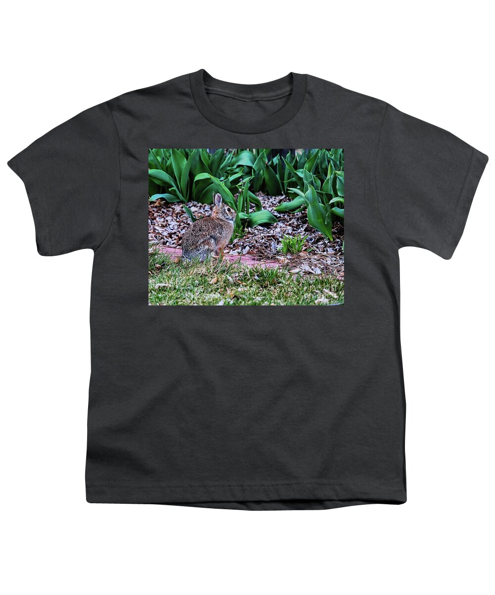 Jon Burch Youth T-Shirt featuring the photograph Cottentail by Jon Burch Photography