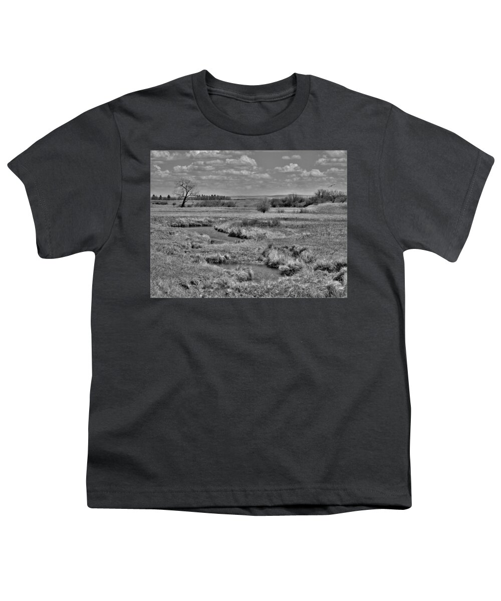 Swallows Youth T-Shirt featuring the photograph Creek and Flying Swallows in Black and White by Amanda R Wright