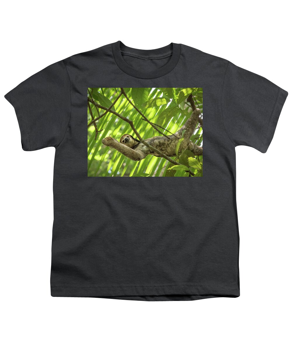 Sloth Youth T-Shirt featuring the photograph Caution, Slow Movers Ahead by Linda Villers