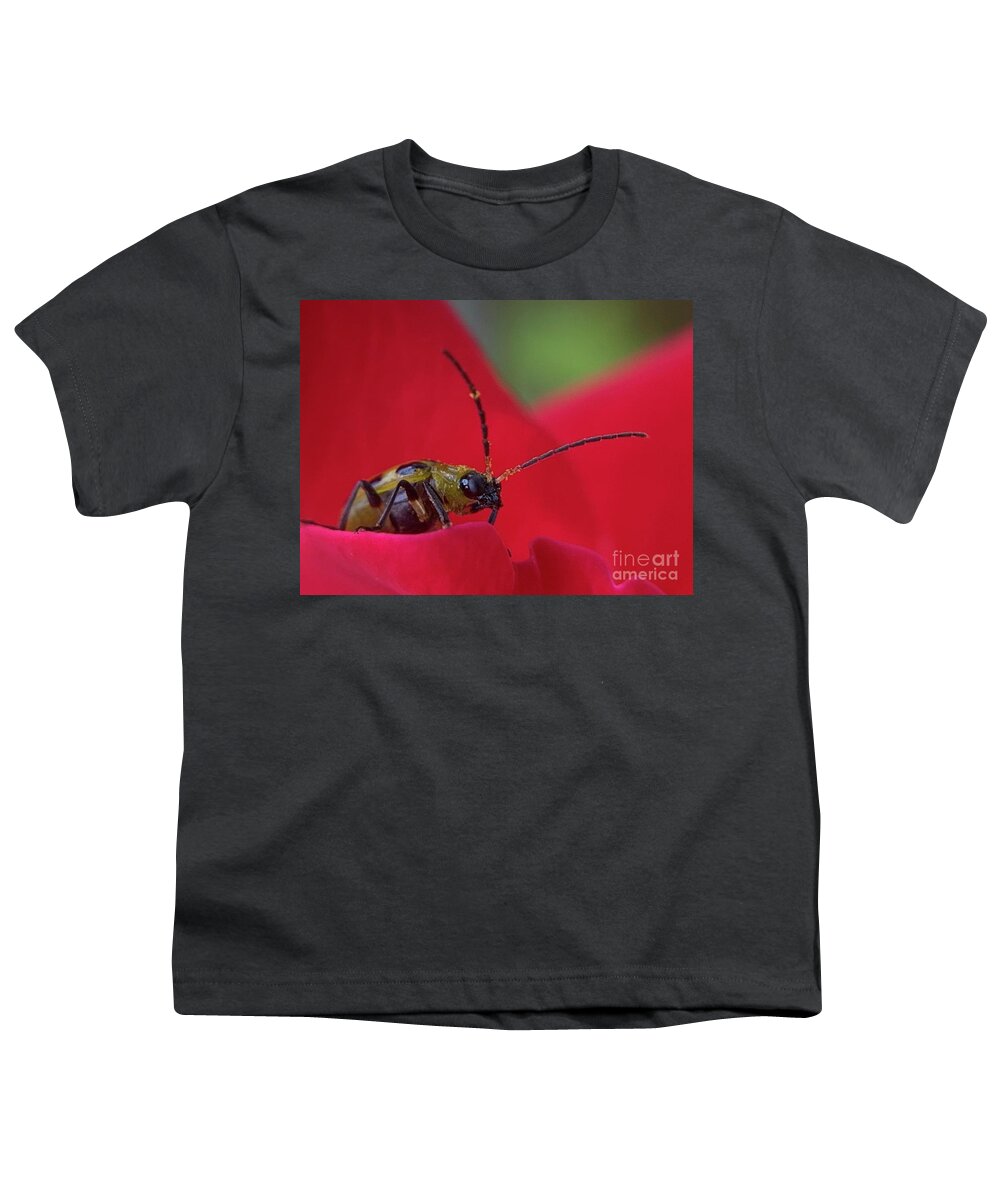 Beetle Youth T-Shirt featuring the photograph Cucumber Beetle 3 by Catherine Wilson
