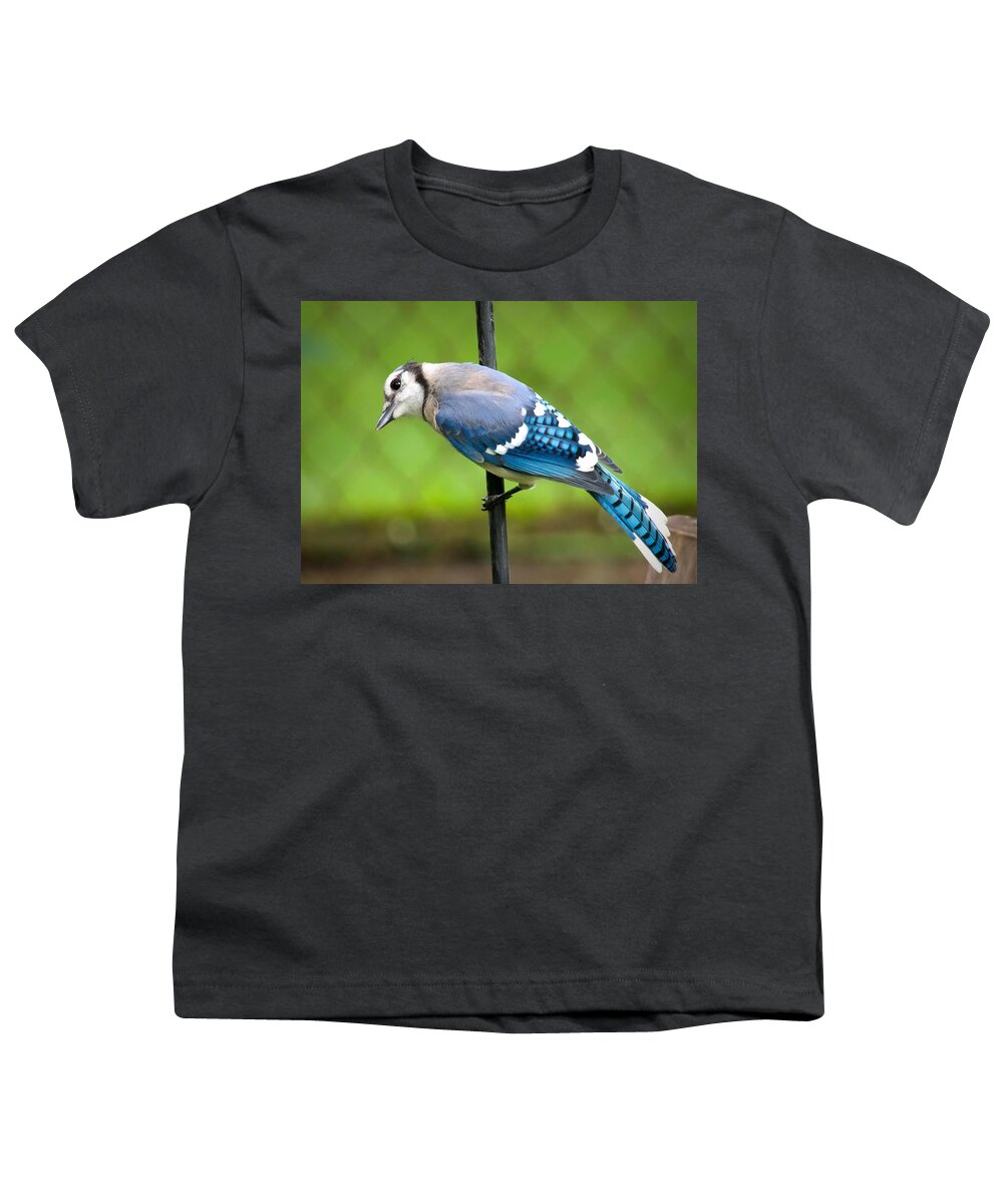  Youth T-Shirt featuring the photograph Curious Blue Jay by Jack Wilson