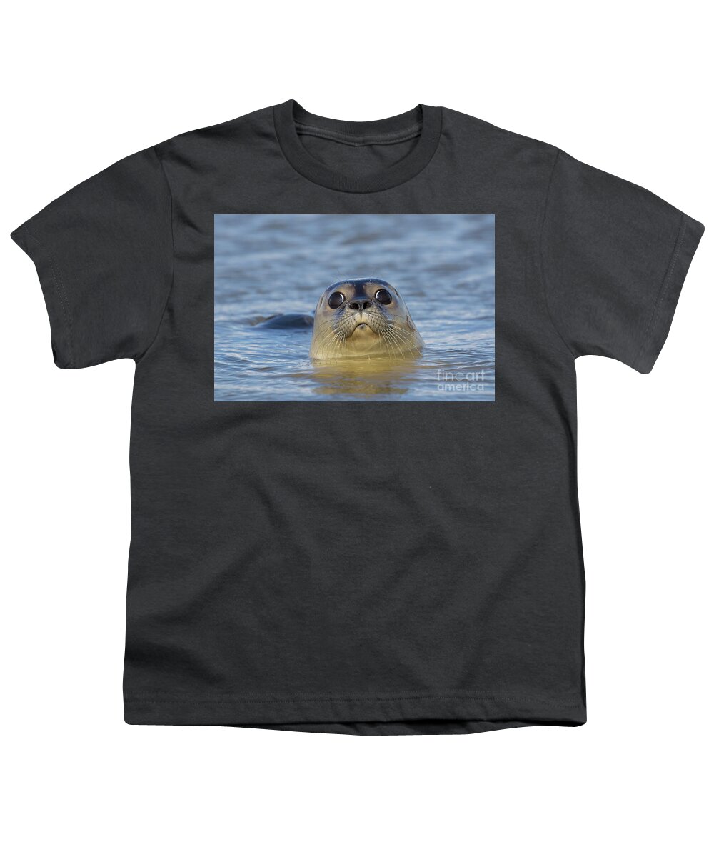 Harbor Seal Youth T-Shirt featuring the photograph Curious Seal by Arterra Picture Library