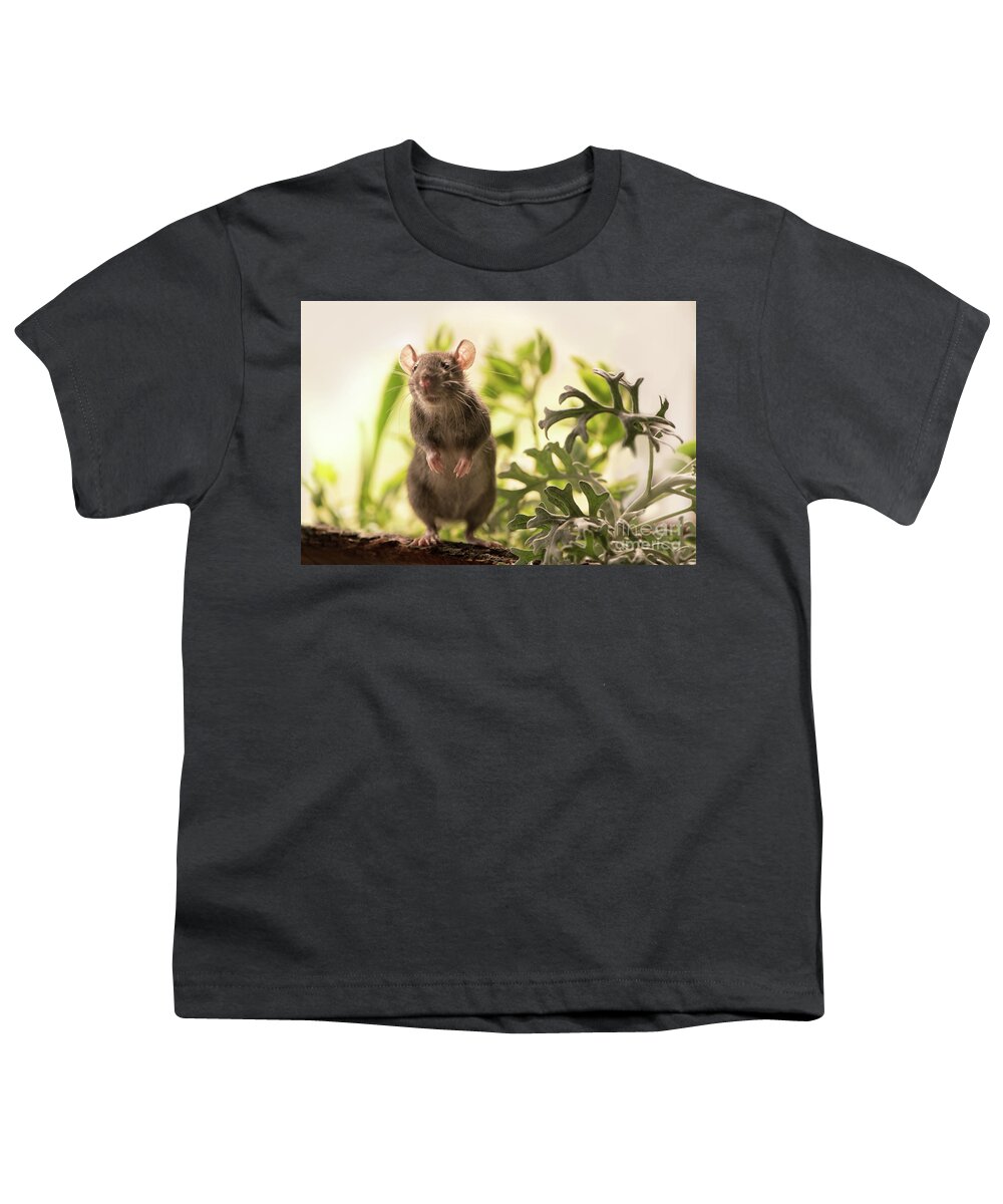 Rat Youth T-Shirt featuring the photograph Cute Rat in the Garden by Naomi Maya