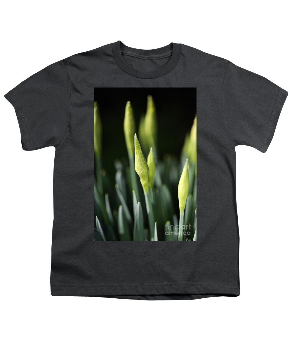Daffodil Youth T-Shirt featuring the photograph Daffodil Buds by Joy Watson