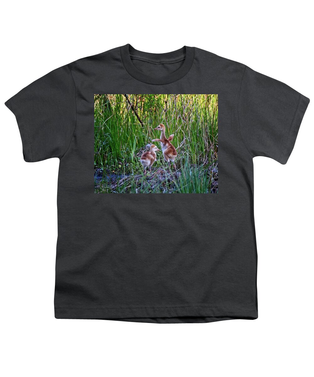 Animal Youth T-Shirt featuring the photograph Dancing Sandhill Crane Colts by Ronald Lutz