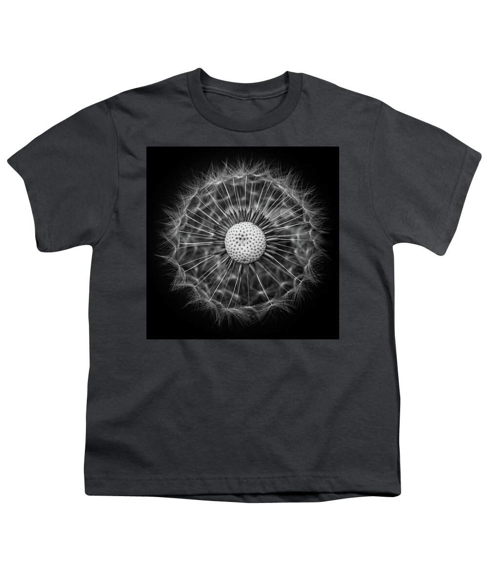 Seedhead Youth T-Shirt featuring the photograph Dandelion Wheel by Nigel R Bell