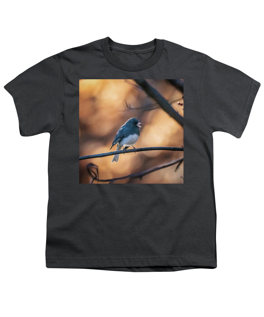 Dark Eyed Junco Youth T-Shirt featuring the photograph Dark-Eyed Junco by Alexander Image