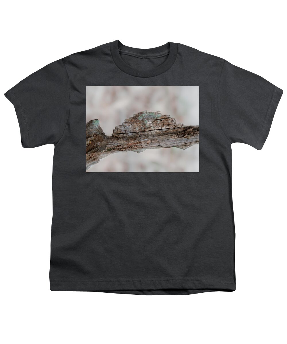 Abstract Youth T-Shirt featuring the photograph Deadwood Abstract by Phil And Karen Rispin
