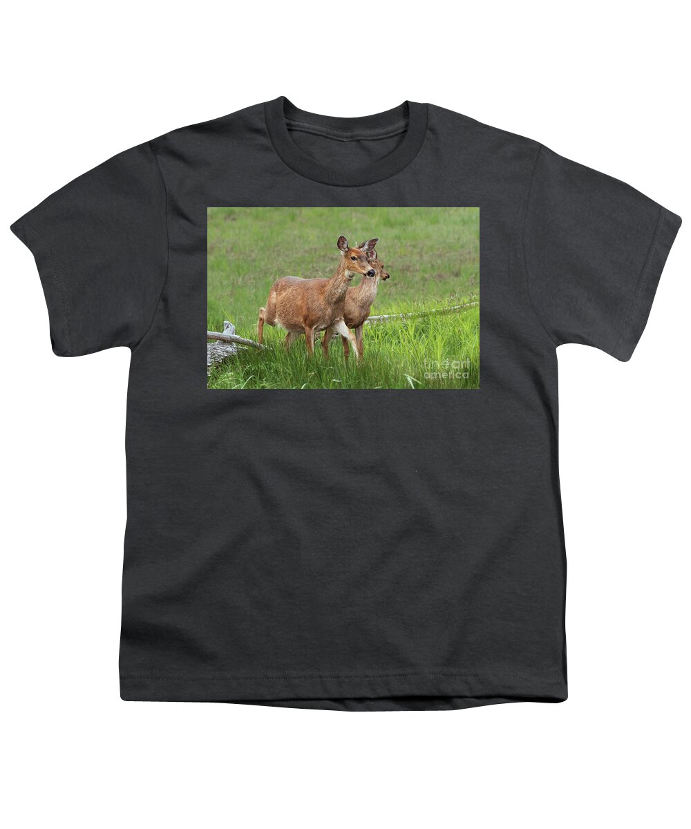 Bowerman Basin Youth T-Shirt featuring the photograph Deer in a Coastal Marsh in Washington by Nancy Gleason