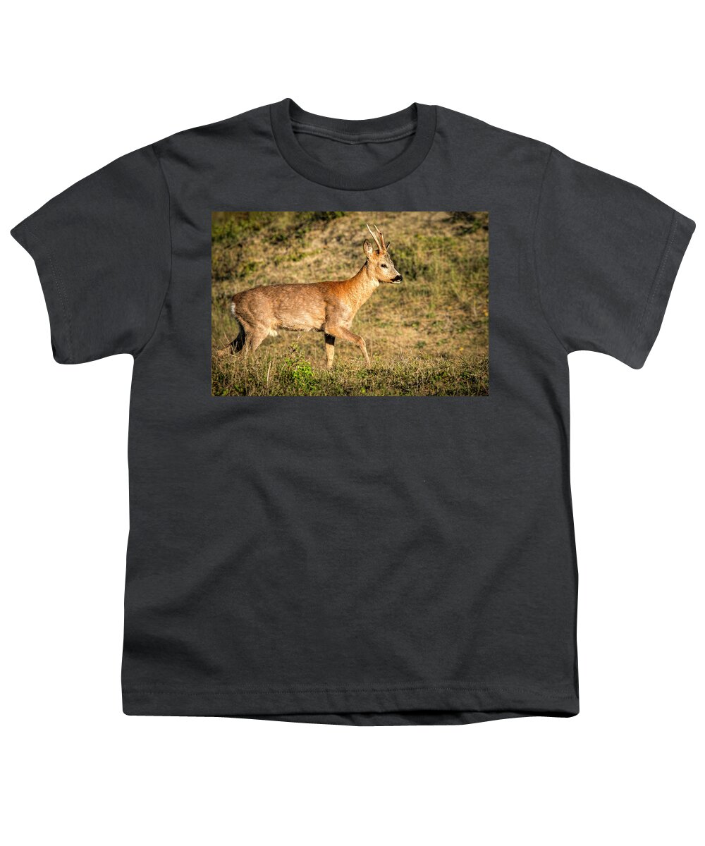 Deer Youth T-Shirt featuring the photograph Deer In Dune Area by Marjolein Van Middelkoop