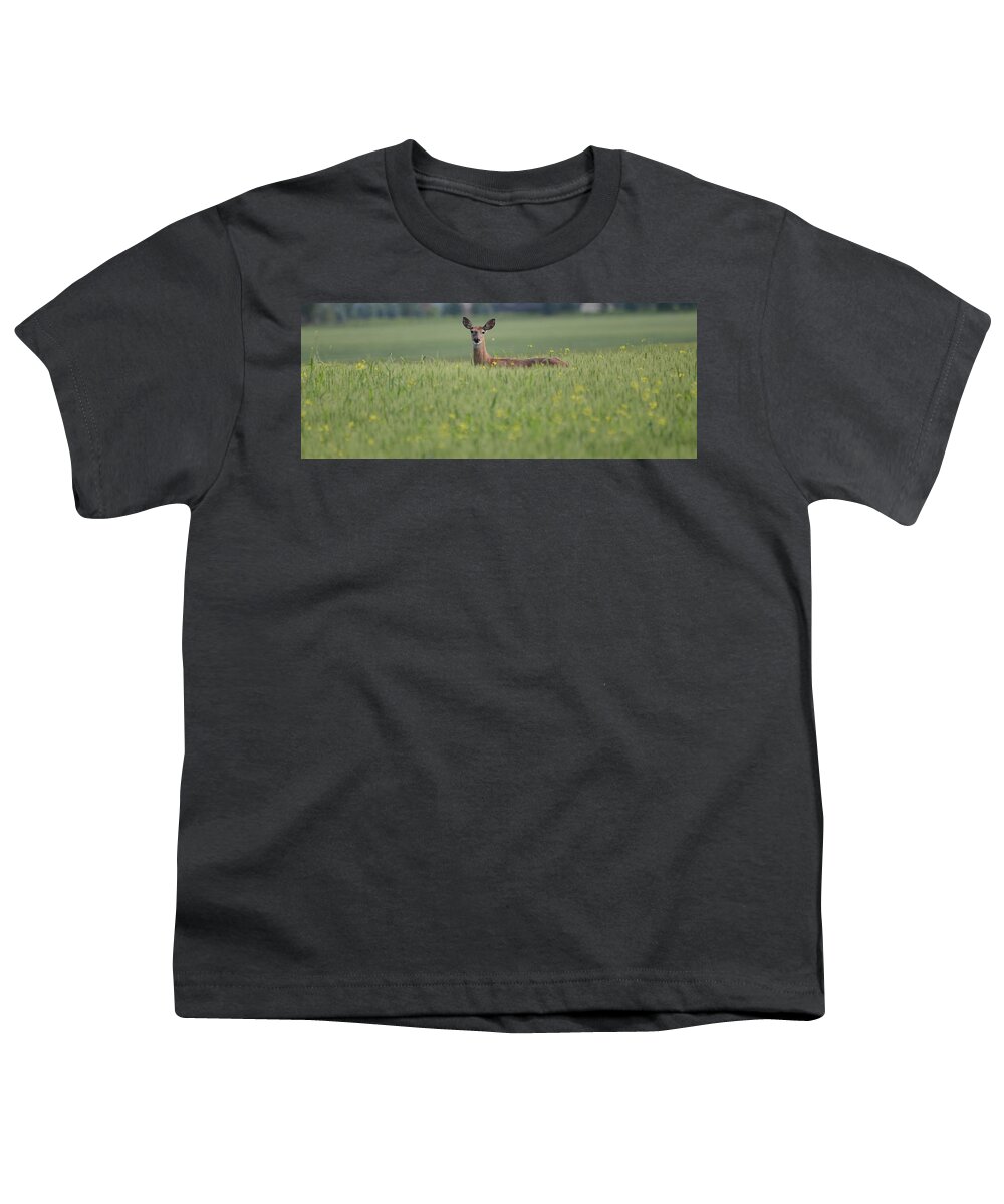 Deer Youth T-Shirt featuring the photograph Deerfield by Whispering Peaks Photography