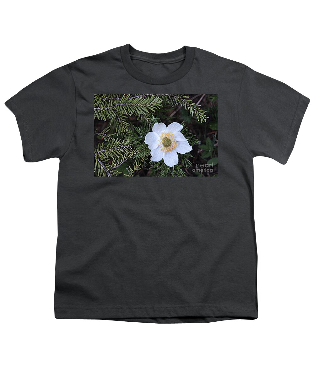 Canada Youth T-Shirt featuring the photograph Delicate Amongst Needles by Mary Mikawoz