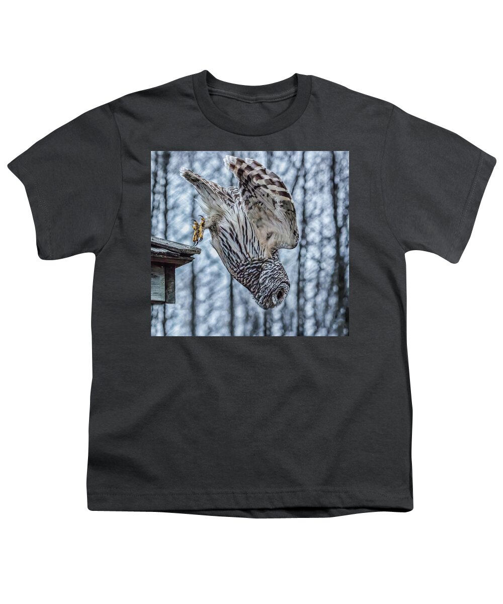 Barred Owl Youth T-Shirt featuring the photograph Dive by Brad Bellisle