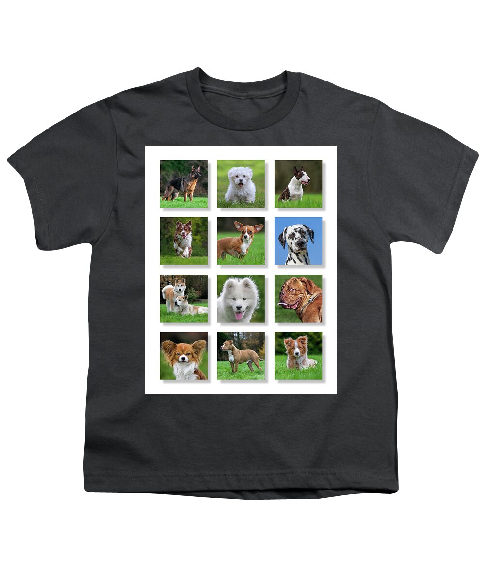 Collage Youth T-Shirt featuring the photograph Dog Breeds by Arterra Picture Library