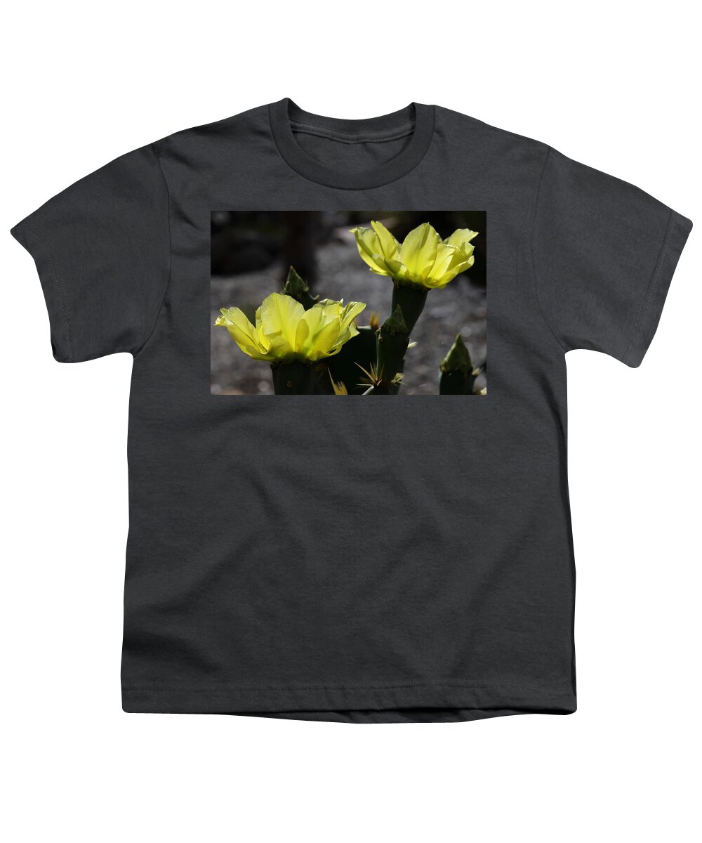 Cactus Youth T-Shirt featuring the photograph Double Cactus Flowers by Mingming Jiang