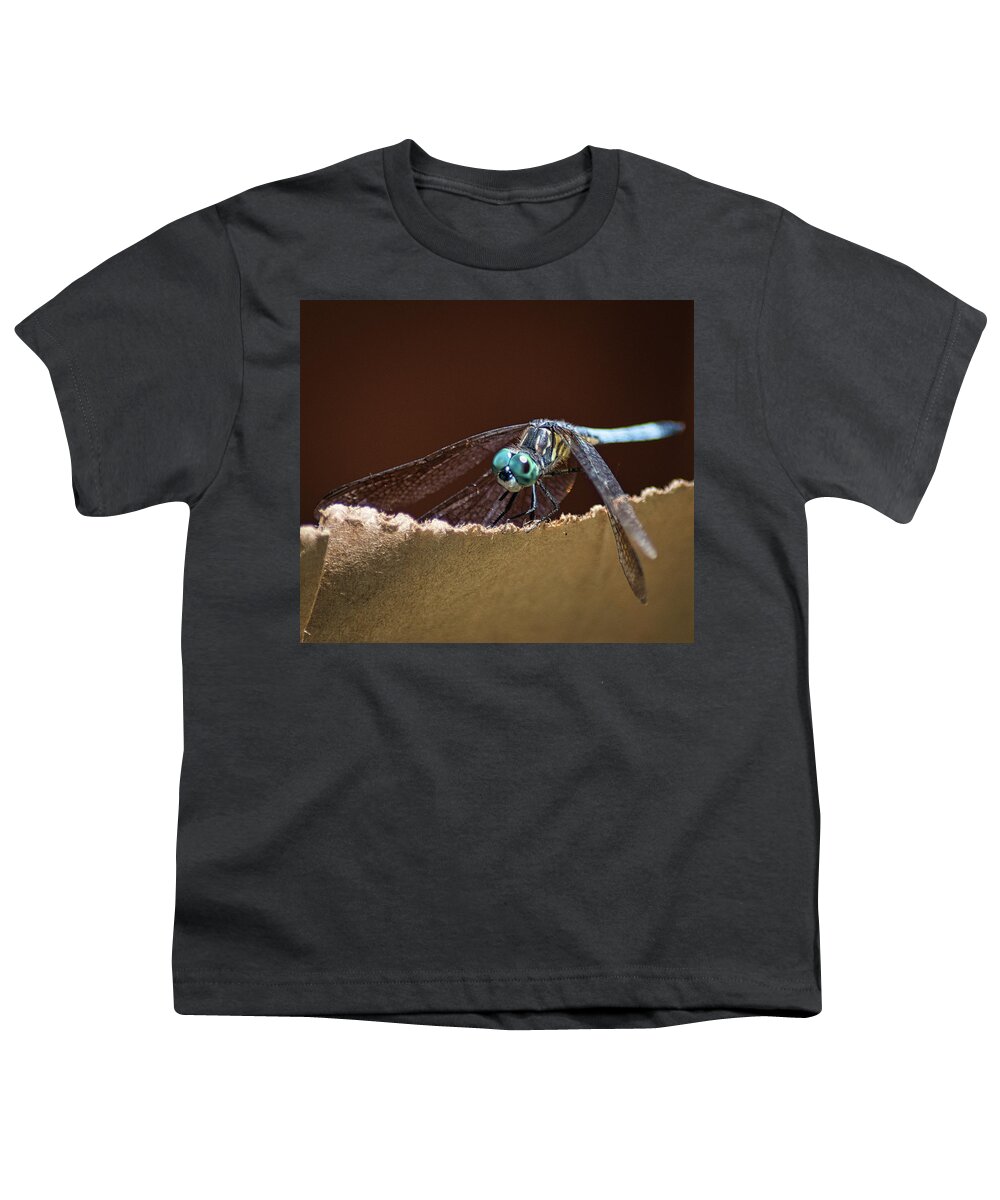 Insect Youth T-Shirt featuring the photograph Dragonfly Eyes by Portia Olaughlin