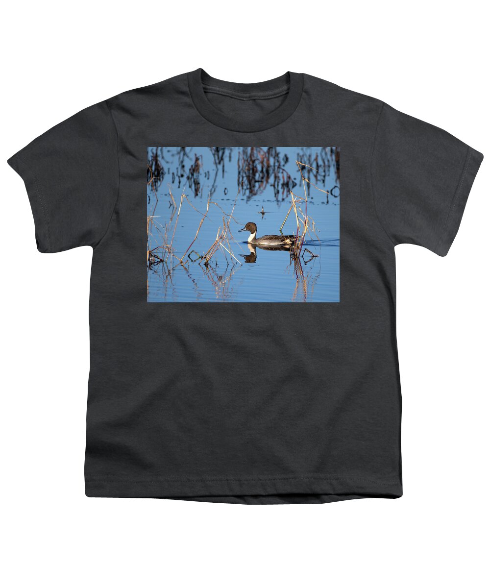Duck Youth T-Shirt featuring the photograph Duck Pintail by Flinn Hackett