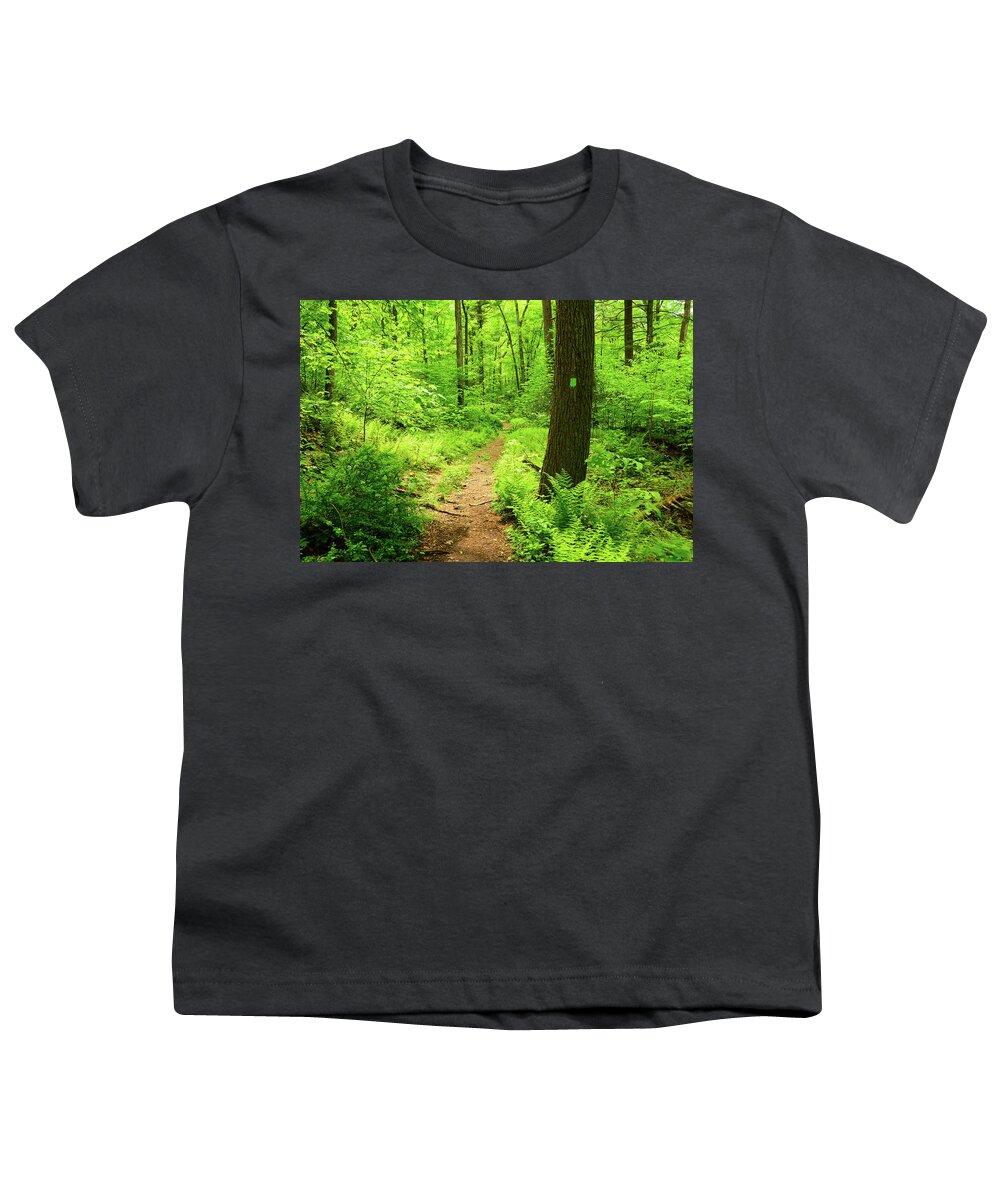 Dwg Dunnfield Creek Spring Green And Trail Blaze Youth T-Shirt featuring the photograph DWG Dunnfield Creek Spring Green and Trail Blaze by Raymond Salani III