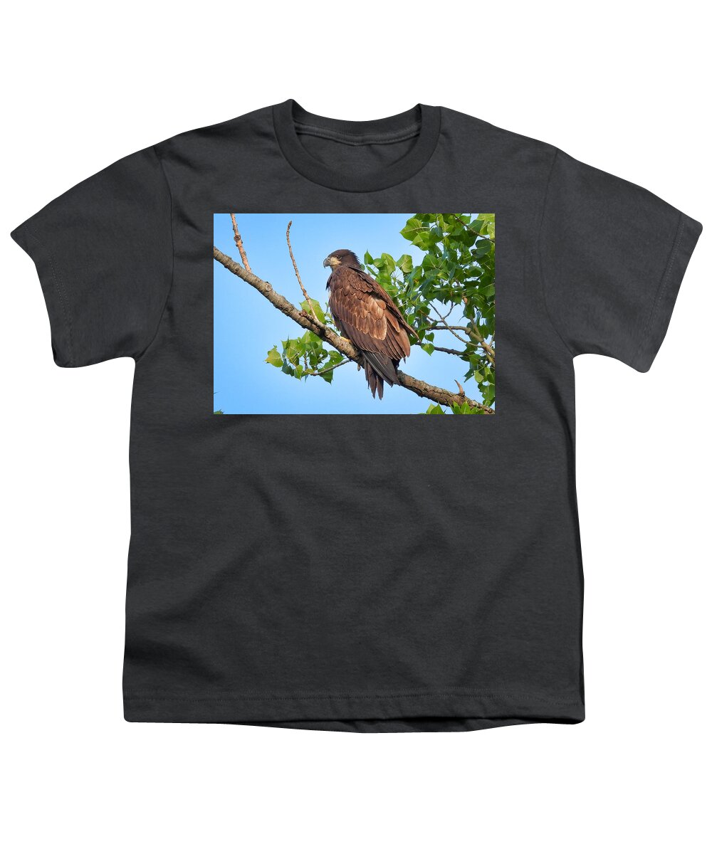  Youth T-Shirt featuring the photograph Eagle Fledgling by Jack Wilson