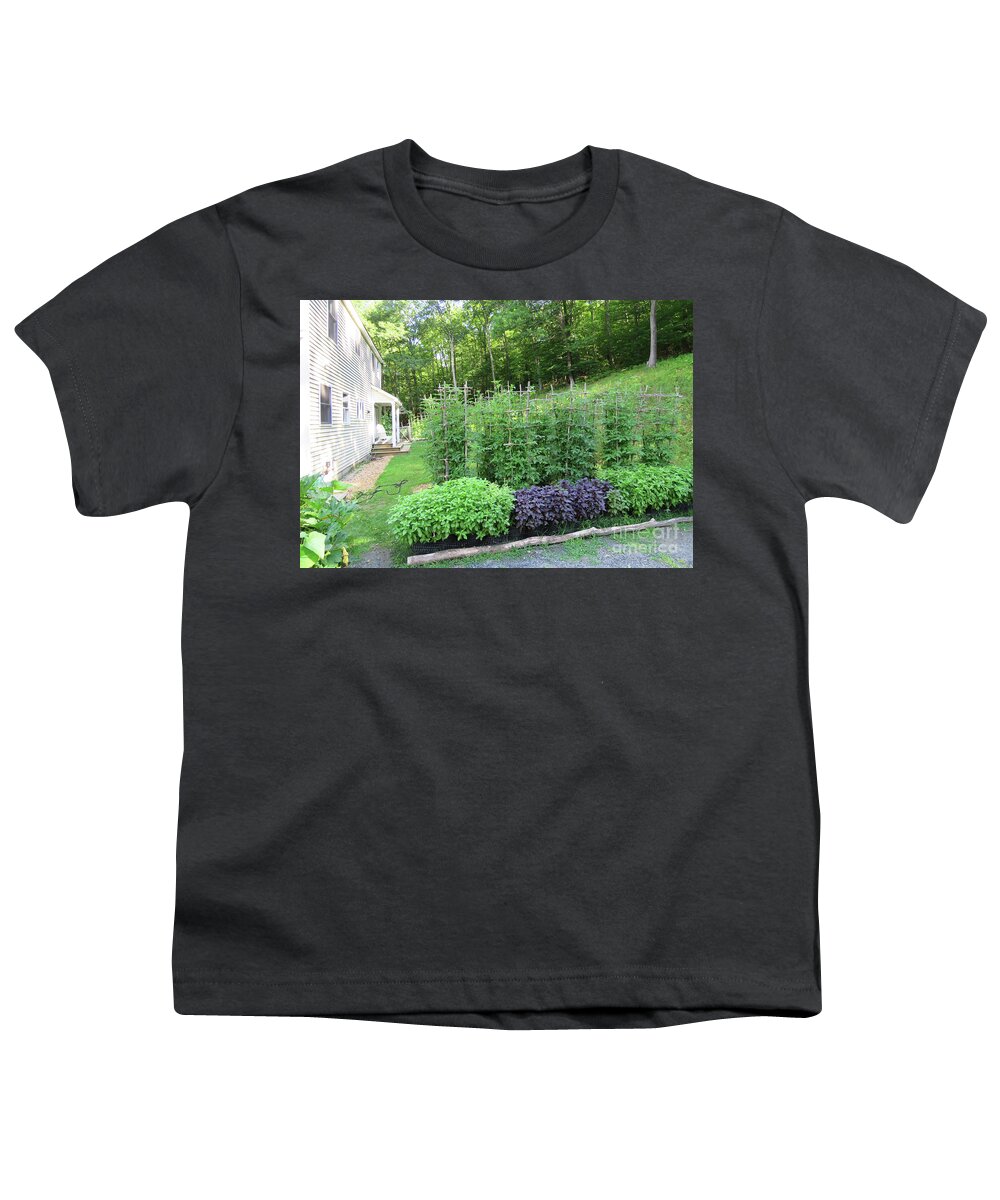 Vegetable Garden Youth T-Shirt featuring the photograph Early August Tomato Maze. View from the Driveway. The Victory Garden Collection. by Amy E Fraser