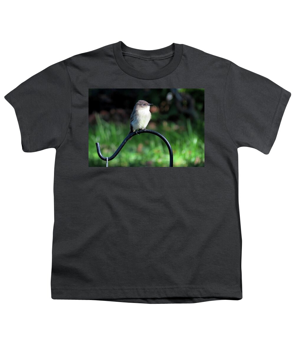 Birds Youth T-Shirt featuring the photograph Eastern Phoebe by Linda Stern