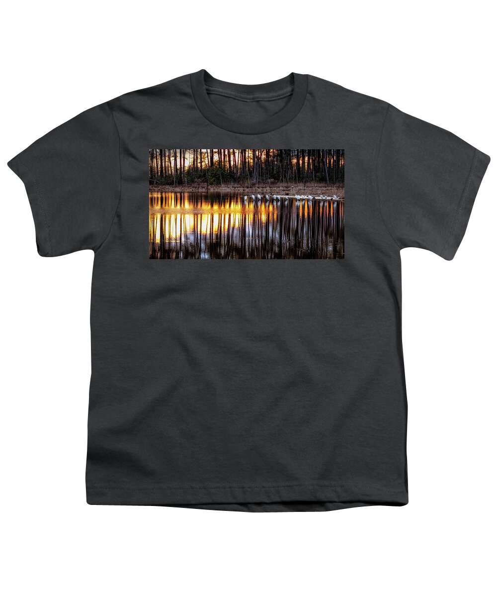 Blackwater Wildlife Refuge Youth T-Shirt featuring the photograph Egrets at Sunset by C Renee Martin