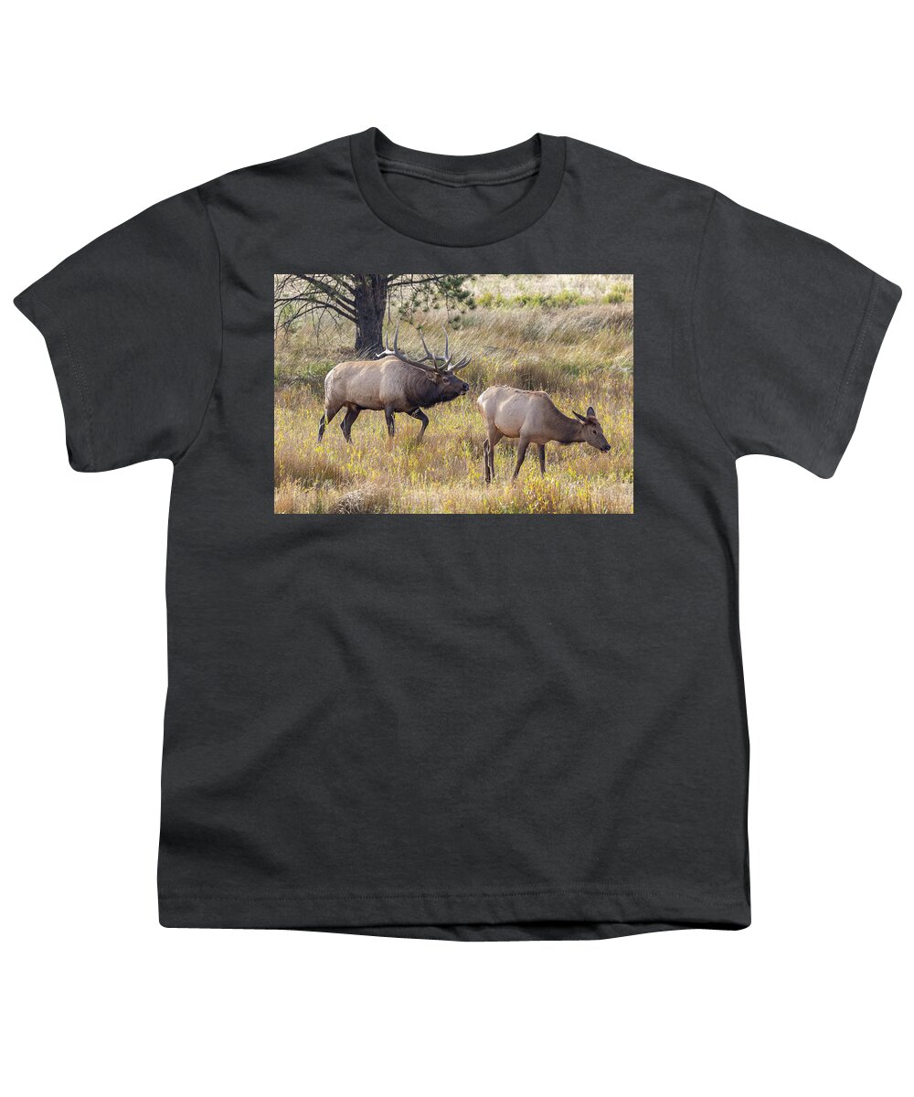 Elk Youth T-Shirt featuring the photograph Elk Bull Inspects a Cow by Tony Hake