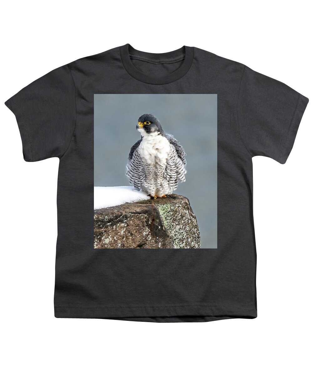 Birds Youth T-Shirt featuring the photograph Falcon in Winter-4 by Kevin Suttlehan