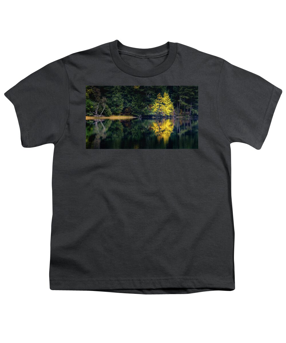 Fall Autumn Maine Nature Swan Island Tree Yellow Youth T-Shirt featuring the photograph Fall in Maine by David Hufstader