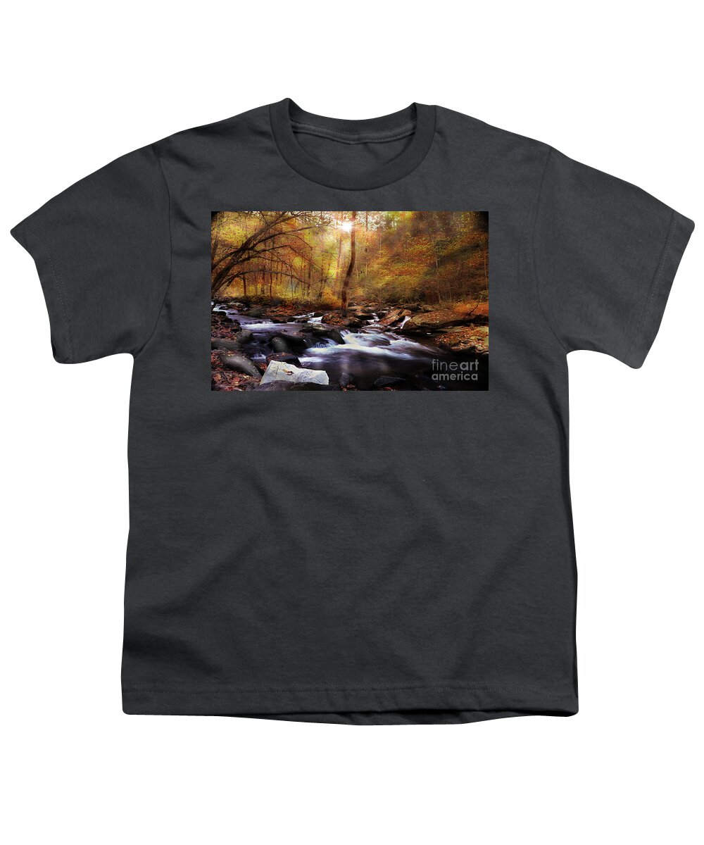 Fall Colors Youth T-Shirt featuring the photograph Fall Indeed by Rick Lipscomb