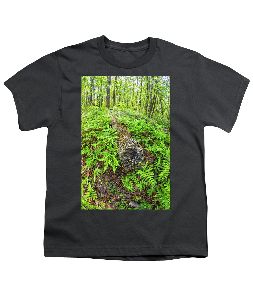 New Bern Youth T-Shirt featuring the photograph Fallen Logs Surrounded by Ferns by Bob Decker