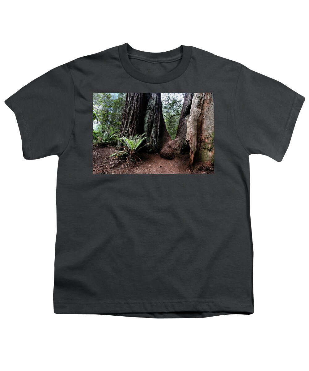 Fern Youth T-Shirt featuring the photograph Fern in redwood forest by Craig A Walker