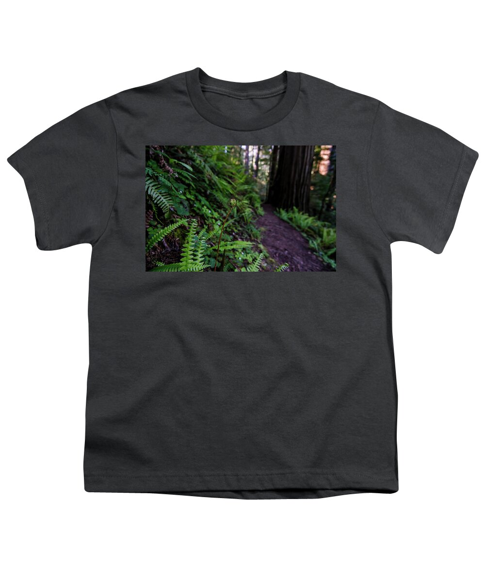Fern Youth T-Shirt featuring the photograph Fern Path by Margaret Pitcher