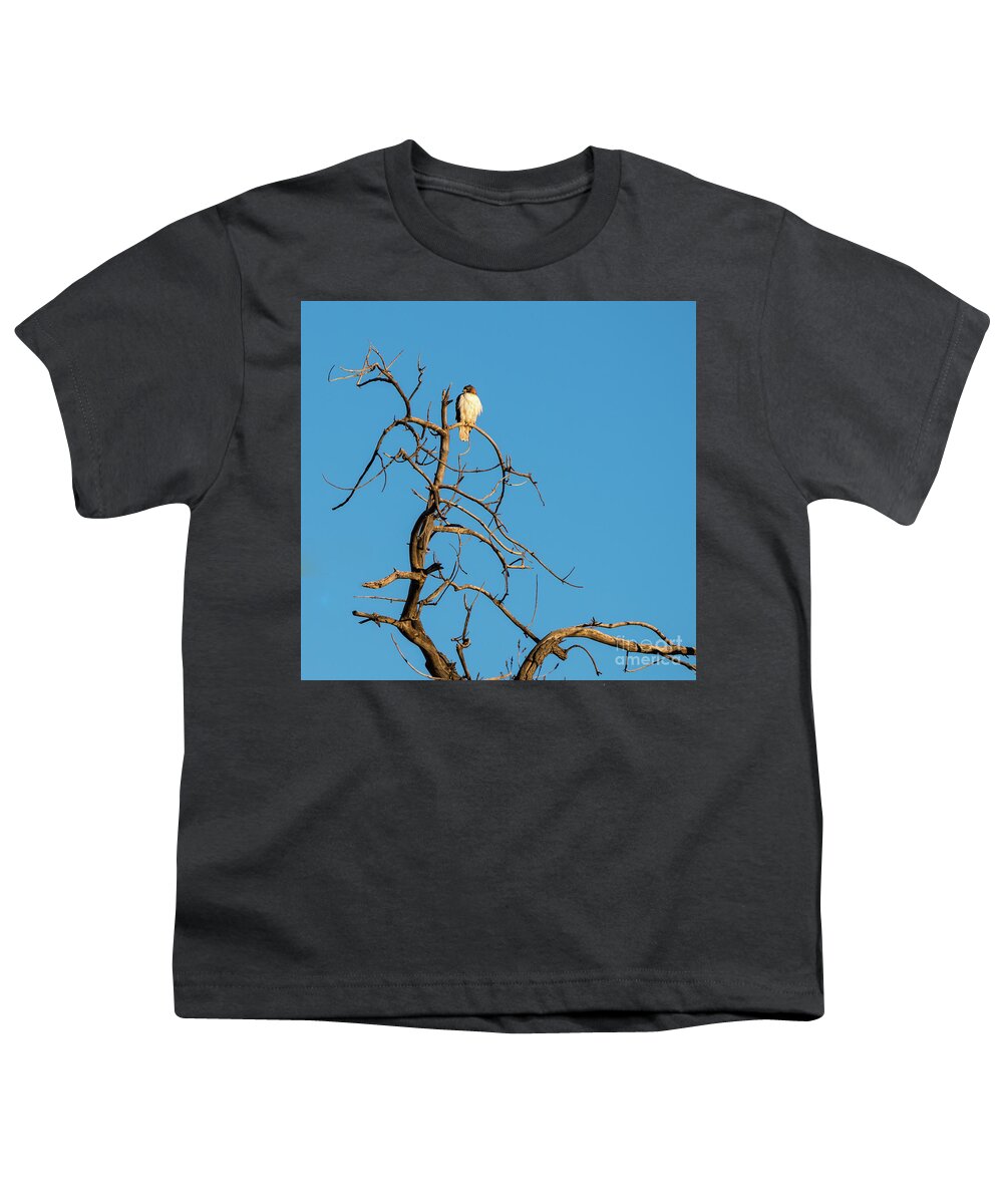 Jon Burch Youth T-Shirt featuring the photograph Ferrunginous Hawk in Tree by Jon Burch Photography