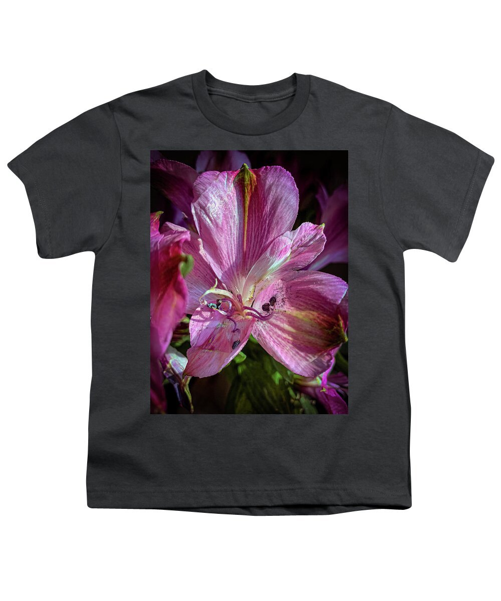 Flower Youth T-Shirt featuring the photograph Flowers in the sun by Jim Feldman