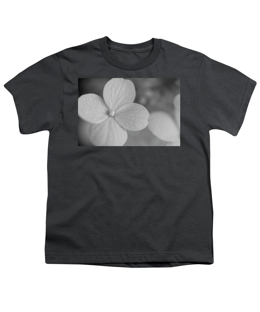 Nyc Youth T-Shirt featuring the photograph Flowers of NYC - Annabelle Hydrangea by Marlo Horne