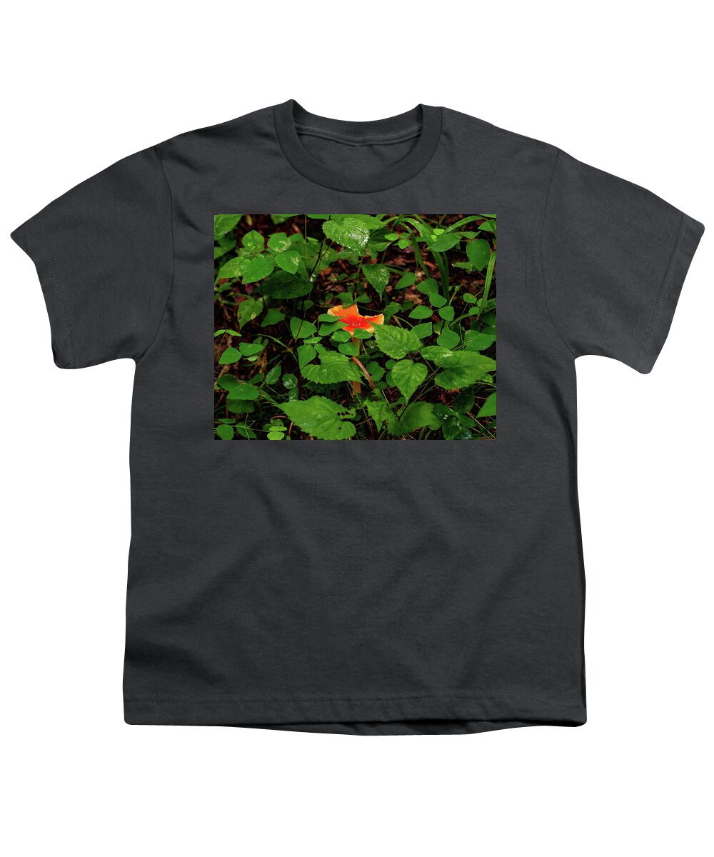 Amanita Muscaria Youth T-Shirt featuring the photograph Fly Argic Mushroom -002 by Flees Photos