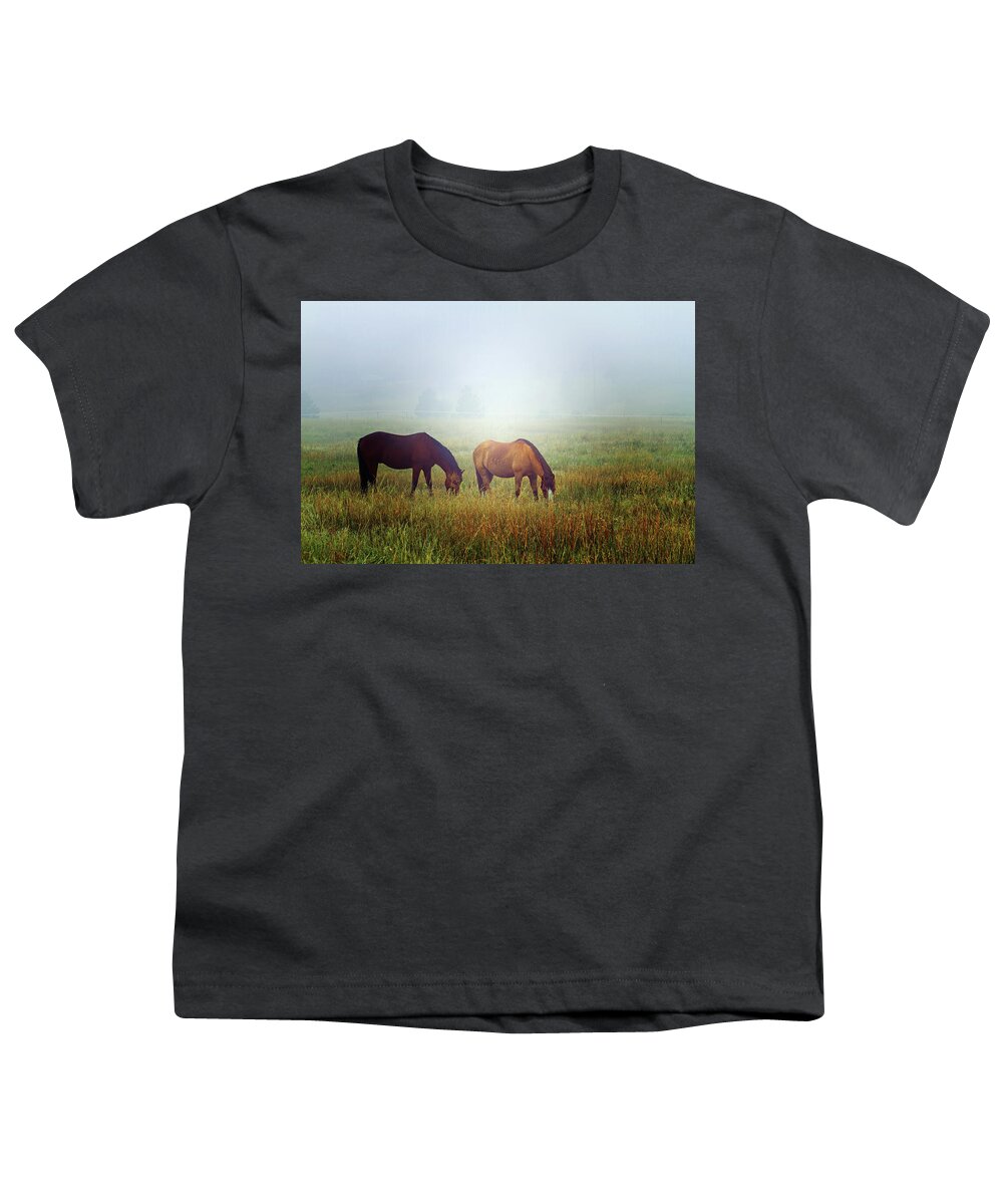 Horse Youth T-Shirt featuring the photograph Foggy Morning Grazing by Alana Thrower