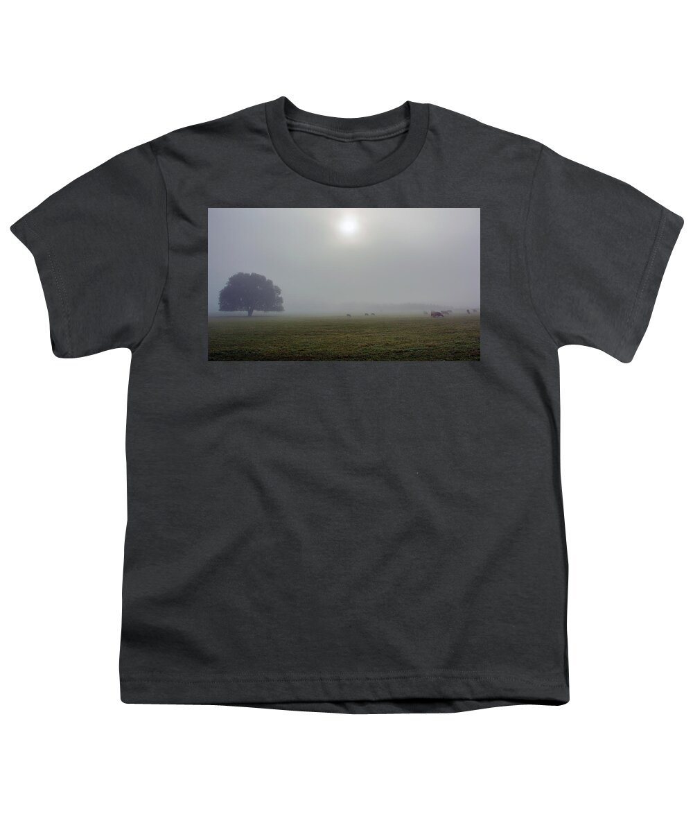 Texas Youth T-Shirt featuring the photograph Hill Country Fog - Gillespie County, TX by Joe Houde