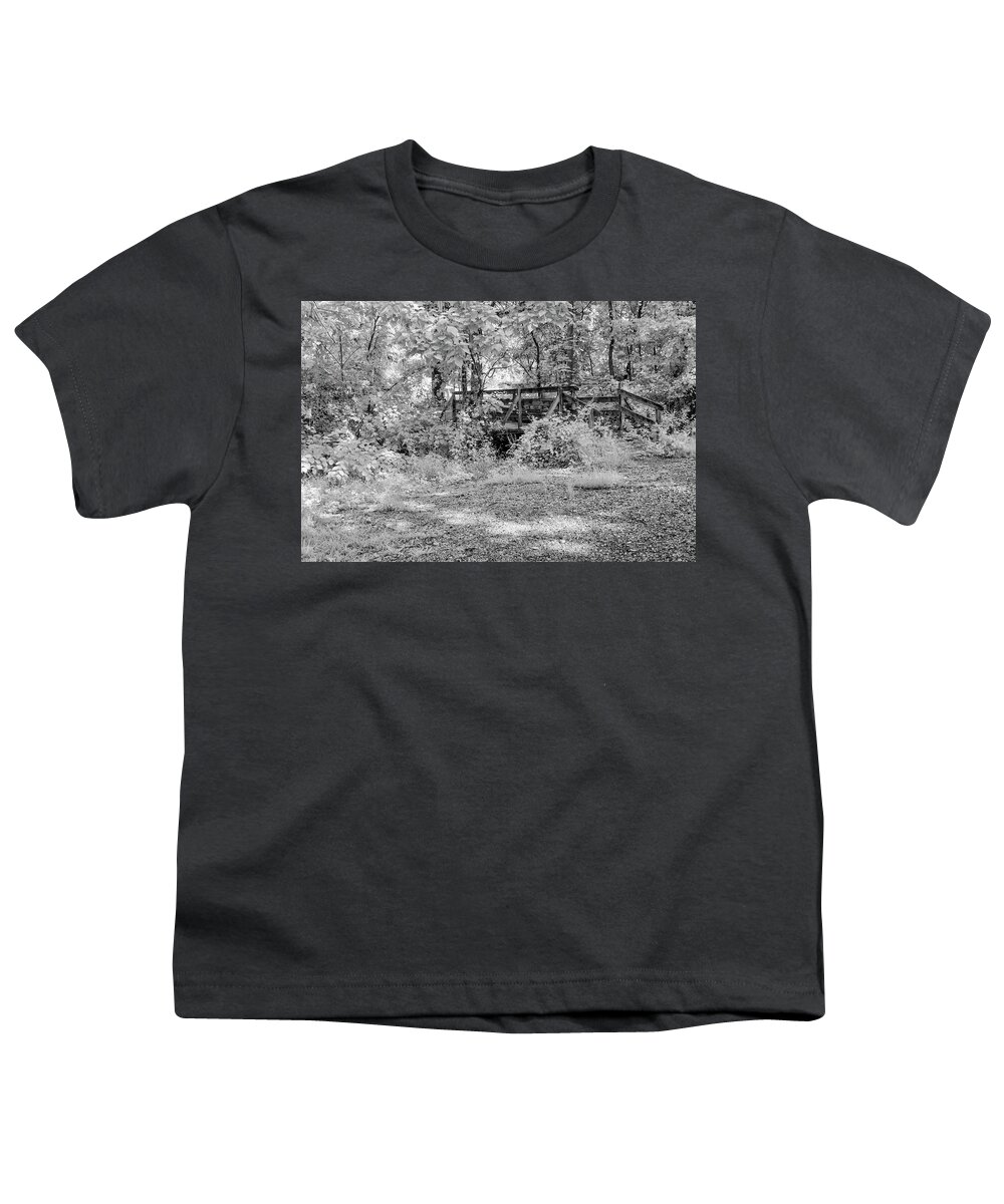 Trees Youth T-Shirt featuring the photograph Foot Bridge on the trail among the trees by Alan Goldberg